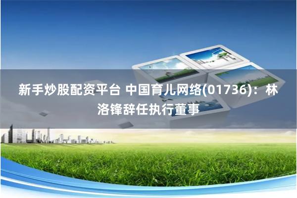 新手炒股配资平台 中国育儿网络(01736)：林洛锋辞任执行董事